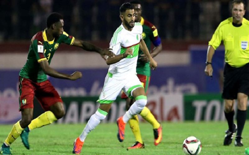 Soi kèo, dự đoán Algeria vs Cameroon
